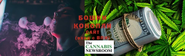 дмт Каменногорск