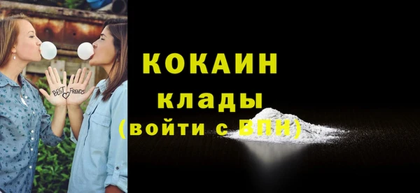 дмт Каменногорск