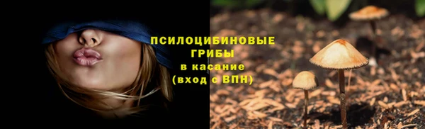 дмт Каменногорск